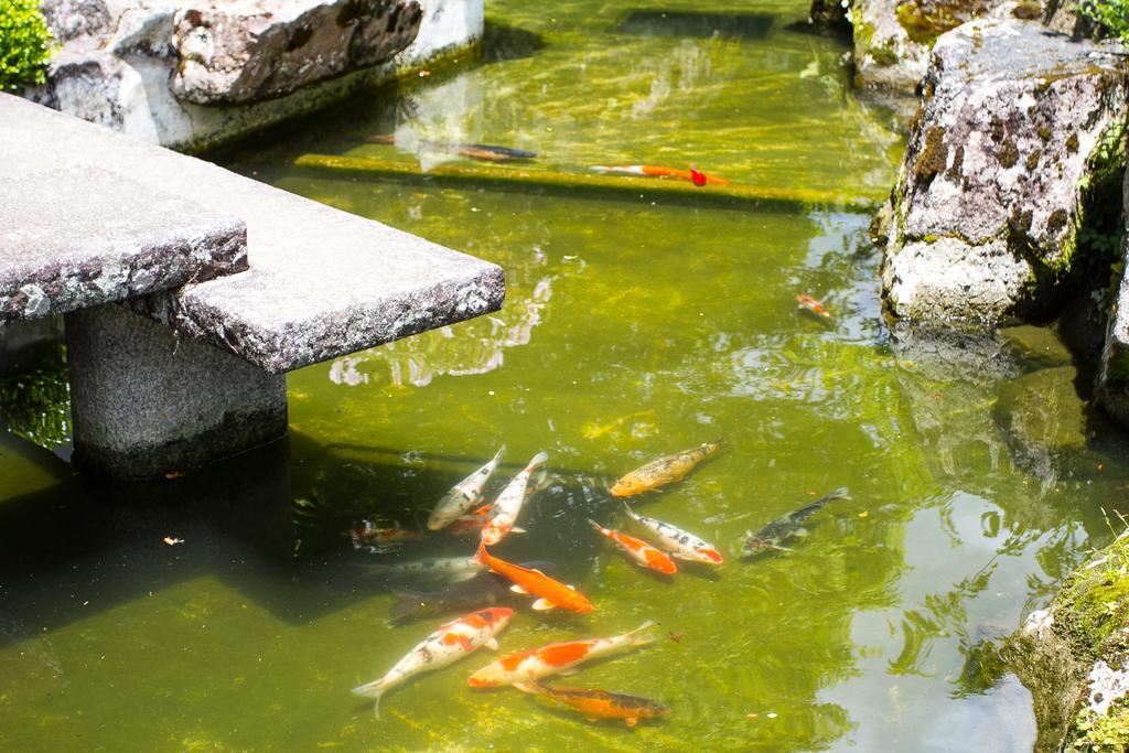 Hotel Matsubara Campos do Jordão Kültér fotó